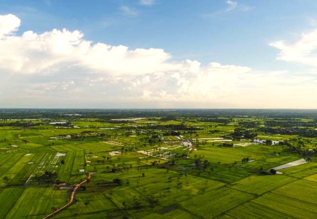 Land-Plot - pakzameen.vip